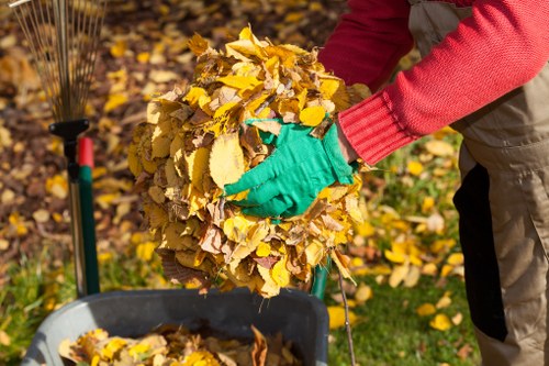 Eco-friendly House Clearance Process