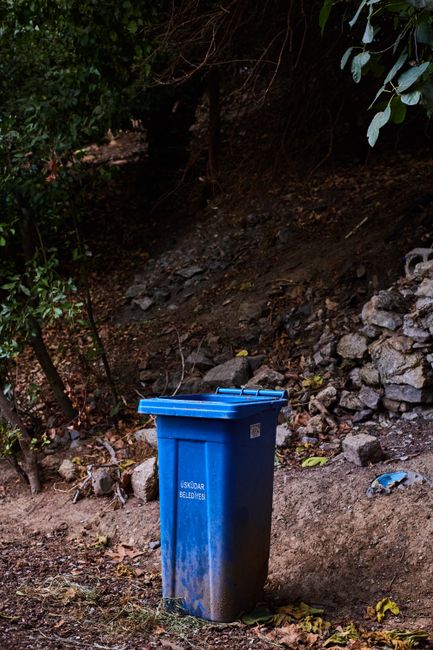 Waltham Forest Council rules for rubbish disposal Leyton
